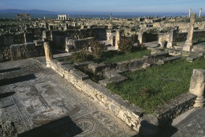 General View by Roman